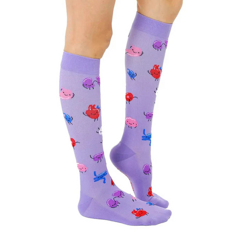 Organs compression socks